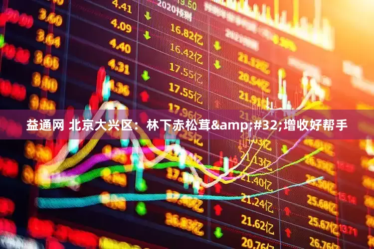 益通网 北京大兴区：林下赤松茸&#32;增收好帮手